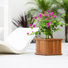 Wood Planter Box