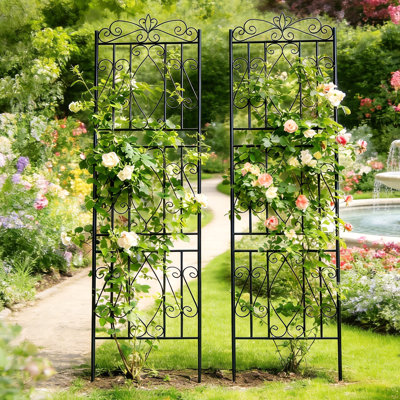 Otmar 182cm H x 2cm W Metal Fan Trellis