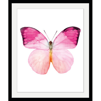Butterfly - Single Picture Frame Print