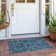 Mexia Washable Oriental Indoor / Outdoor Rug