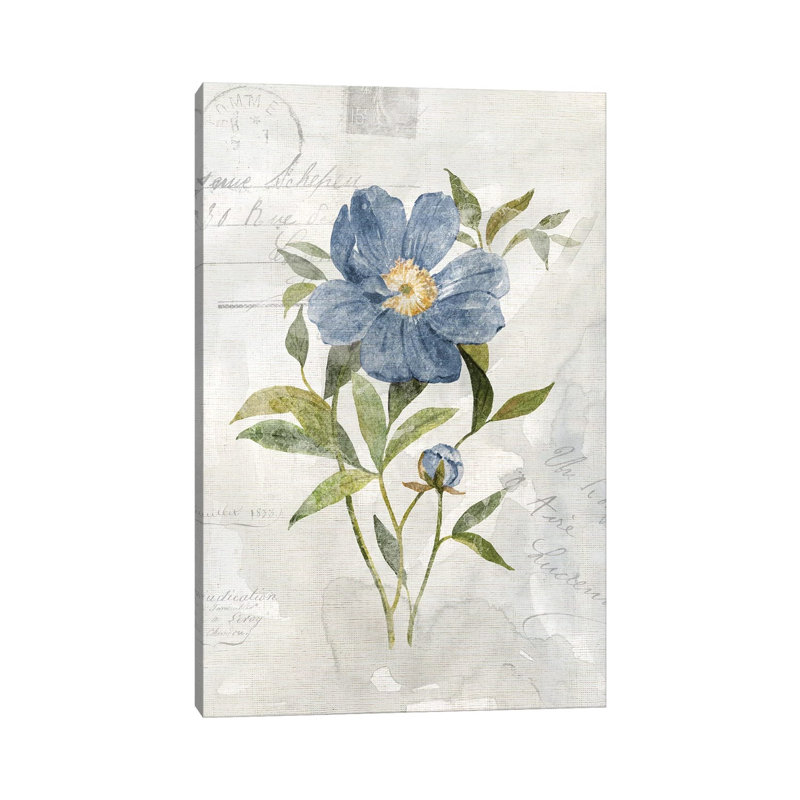 Blue Linen Peony by Carol Robinson - Wrapped Canvas Print, 66.04 cm H x 45.72 cm W x 1.91 cm D