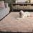 Zeyan Handtufted Recycled Cotton Machine Washable Solid Color Rug-1914190892