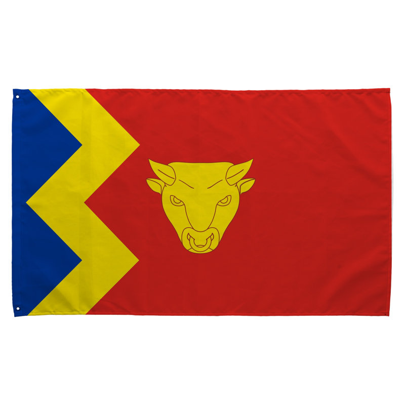 Birmingham City Flag — Flag