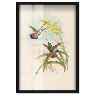 «Flash of Magenta Shadowbox», reproduction d'art botanique par Art Remedy