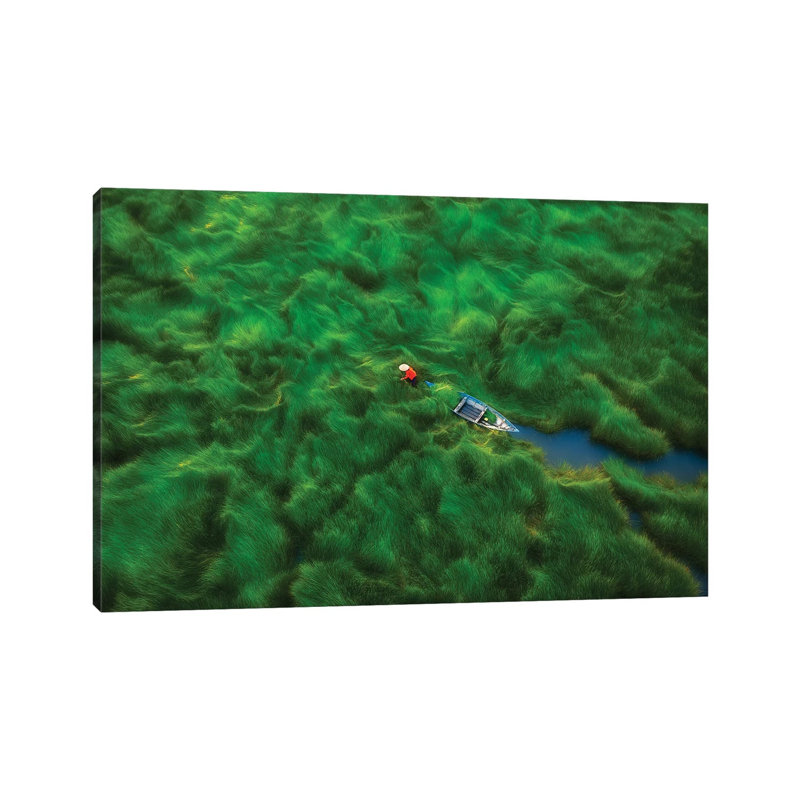 Water-Chestnuts Harvesting Season I by Trung Pham - Gallery-Wrapped Canvas Giclée on Canvas, 20.32 cm H x 30.48 cm W, Canvas