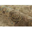 One-of-a-Kind 11'3x16'10 Area Rug
