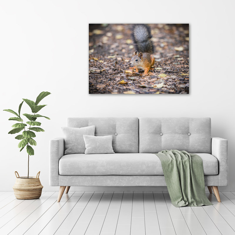 Squirrel - Wrapped Canvas Print