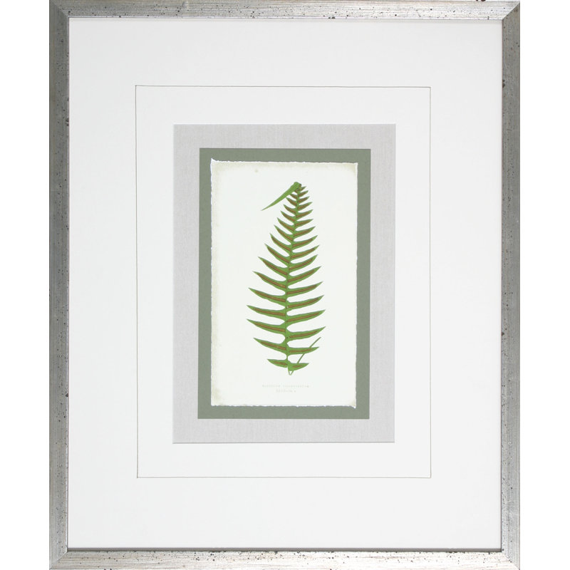 Fern7 - Cadre photo, impression sur papier