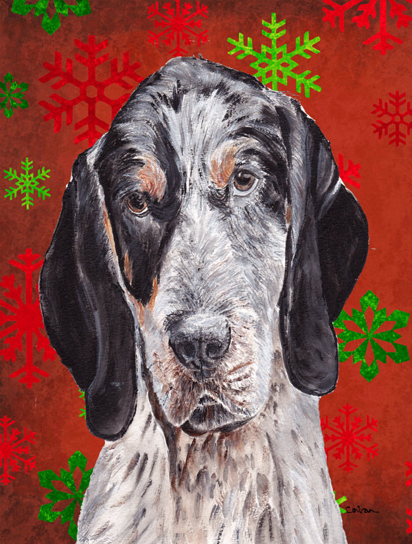 Drapeau rouge et vert Vart, Coonhound (noir et blanc)
