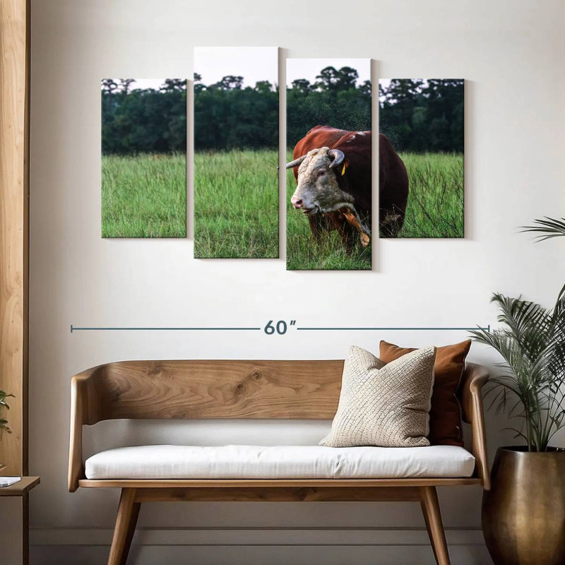 Taureau Brampt Hereford