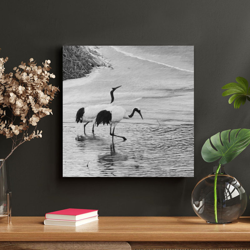 Photo en niveaux de gris d'une paire de cigognes noires dans l'eau - peinture sur toile tendue, L 16 po x H 16 po