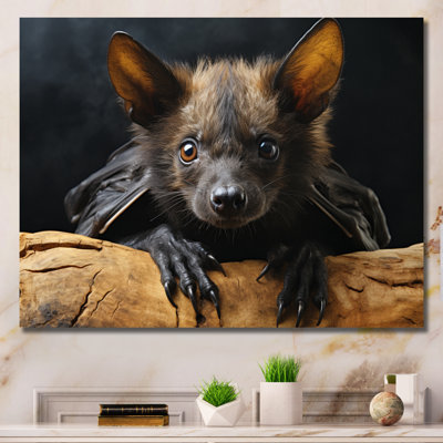 Bat Portrait I - Bat Framed Wall Art