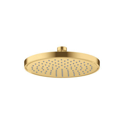 Rain Fixed Shower Head