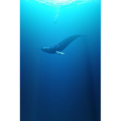 Jonas et la baleine par Photographe3431