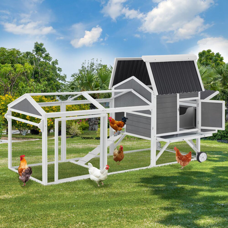 Grand poulailler en bois 95 "avec roulettes, Gris / Blanc