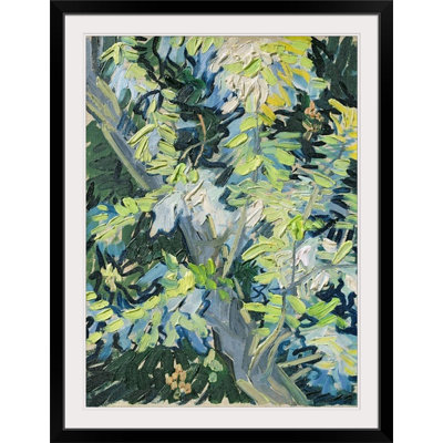 «Acacia in Flower» par Vincent Van Gogh, reproduction d'art
