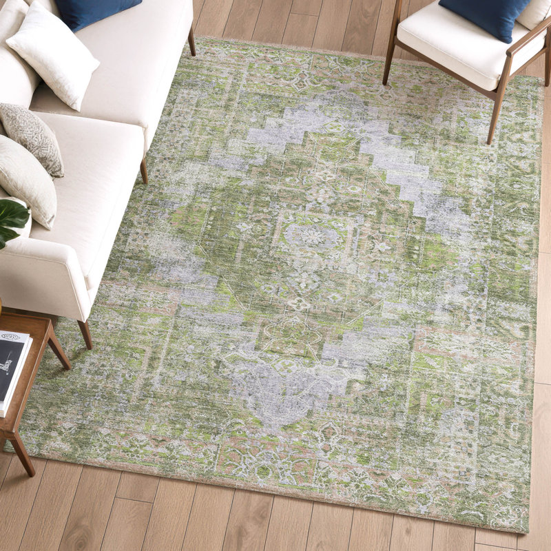 Premium Machine Washable Mayfield AMF2140 global Rug, Aloe, 3' x 5'