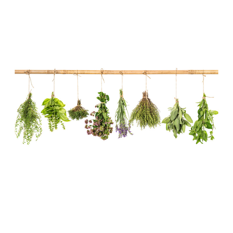 Herbs On A String - No Frame Print on Canvas