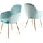 Taraji 46cm H Velvet Upholstered Metal Armchair-113191230-113191229