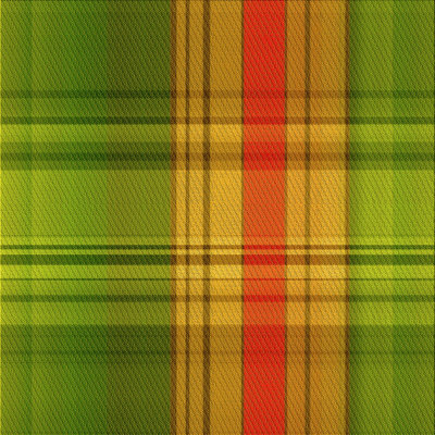 Plaid Indoor Rug