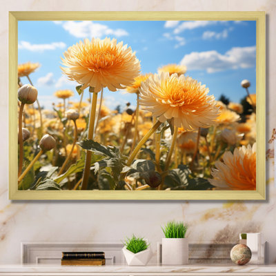 " Dandelion Sunlit Petals I "
