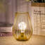 Metal Cordless Table Lamp Cage Shape Battery Operated Lamp with Warm Fairy Lights Bulb-1848027528