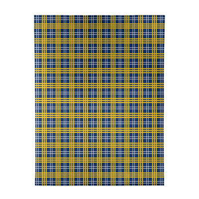 Plaid Indoor Rug