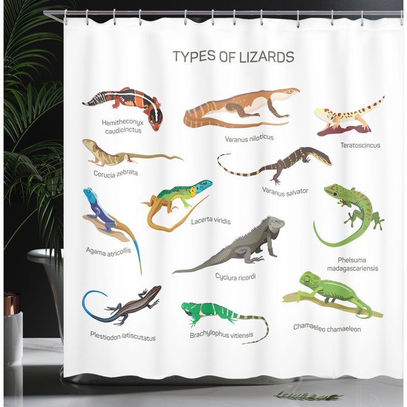 Shower Curtain with Hooks Included, 70" H x 69" W