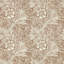 Marigold Wallpaper-52513884