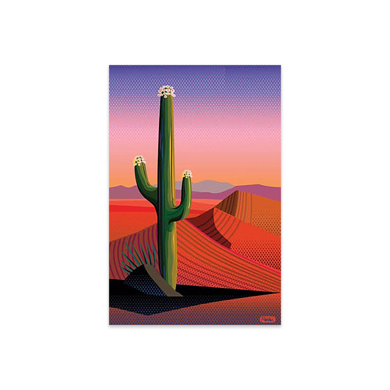 Saguaro Blossom Sunset, reproduction sur verre acrylique, H 24 po x l 16 po x P 0,25 po