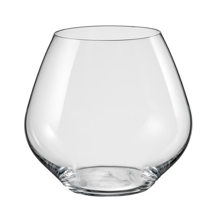 Saloma Stemless 20 oz. Stemless Wine Glass