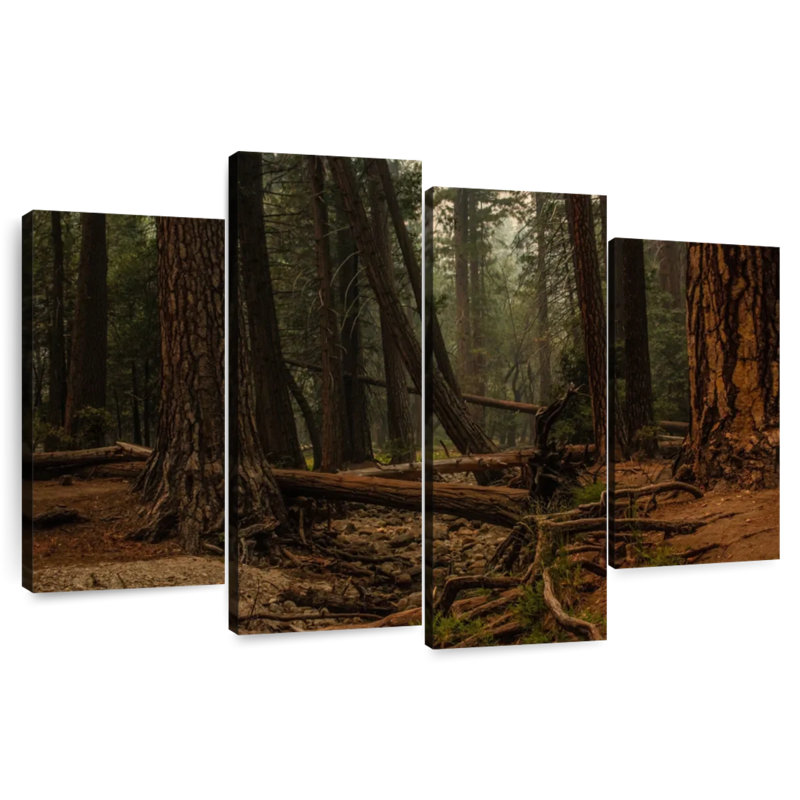 Harnek Redwood Tree Forest, 54" H x 84" W