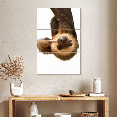 Silly Sloth