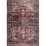 Jeses Oriental Indoor / Outdoor Rug