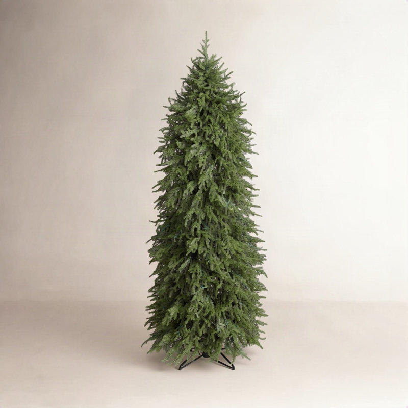 6' Natural Touch Norfolk Tree