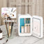 Mini Fridge 4L Car Refrigerator With LED Mirror, 3 Light Countertop Mini Fridge with Freezer-116984569-133000343