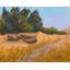 Day Tripper Print-1206776711
