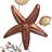 Coastal Landscape & Nature and Nautical & Beach Wall Decor