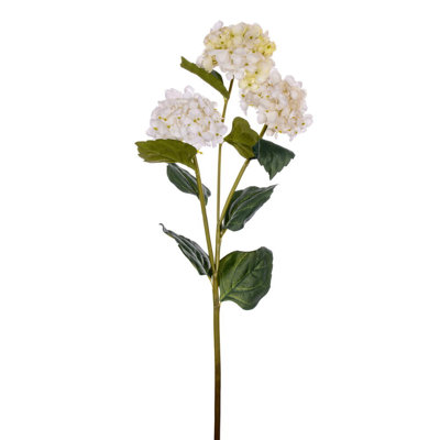 Hydrangea Stem