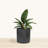 Laparis ECOBO Eco-Friendly Round Pot Planter, Milano Indoor/Outdoor use, Four season Use-43585709-43903968