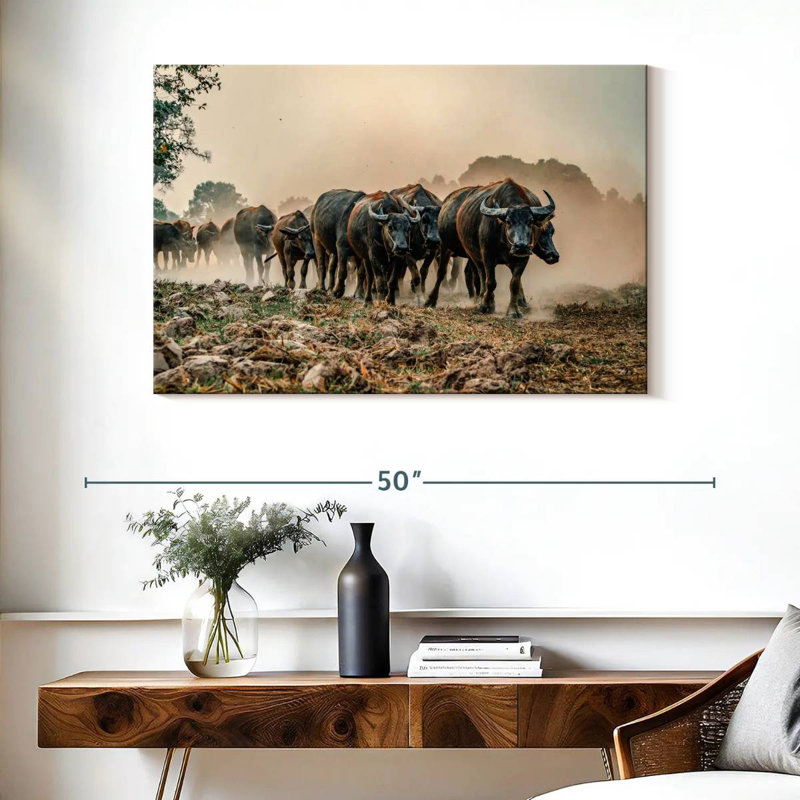 Brampt Buffalos On The Move