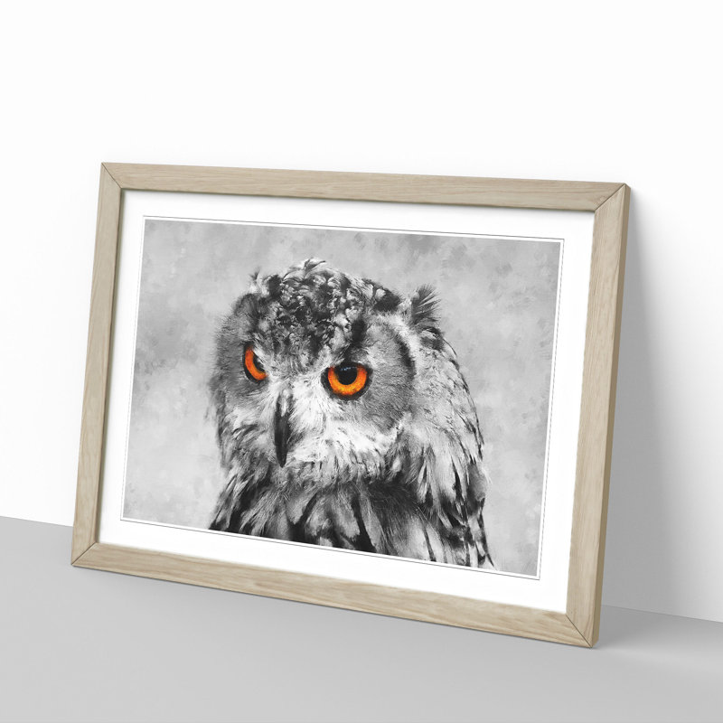 Orange Eyed Owl - Picture Frame Graphic Art Print, 45cm H x 63cm W x 2cm D, Oak Framed