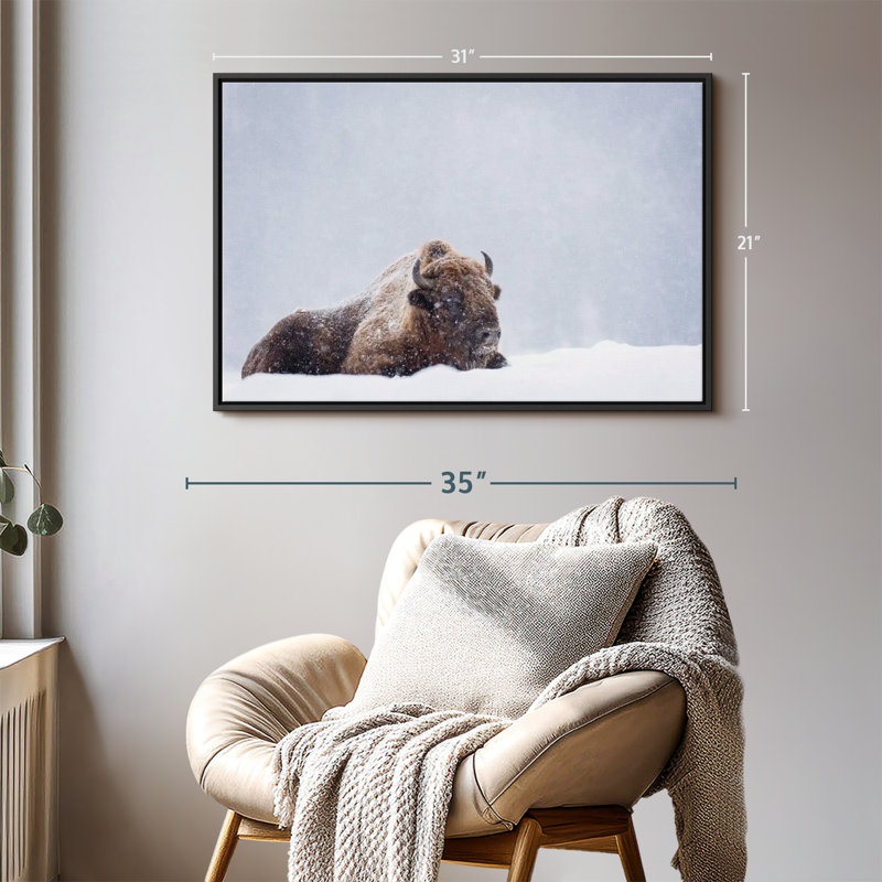 Impression de toile de bison «Snow Bathing», H 21 po x l 31 po