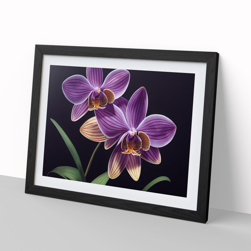 Unbeatable Orchid Flowers - Framed Print, Black Framed, 25cm H x 34cm W x 2cm D