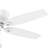 54" Durant 5 - Blade Flush Mount Ceiling Fan with Pull Chain