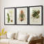 Elegant Tropicals III - Impression sur mesure encadrée de qualité supérieure - 3 pièces