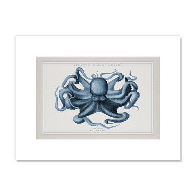 Octopus II, Atlantic Marine Museum