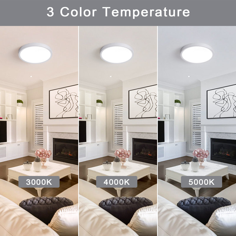 Latitude Run® Boncho LED Flush Mount & Reviews | Wayfair