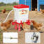 Abreuvoir à poulet automatique de 3 gallons, abreuvoir à volaille à contrôle flottant pour eau douce continue, se connecte à un tuyau d'extension, distributeur d'eau mains libres pour poussins oies, rouge-1363689852