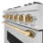 ZLINE Autograph Edition 36 in. 5.2 cu. ft. Classic Gas Range with 6 Burner Cooktop and Convection Gas Oven in Satin Stainless Steel and Accents-105283479